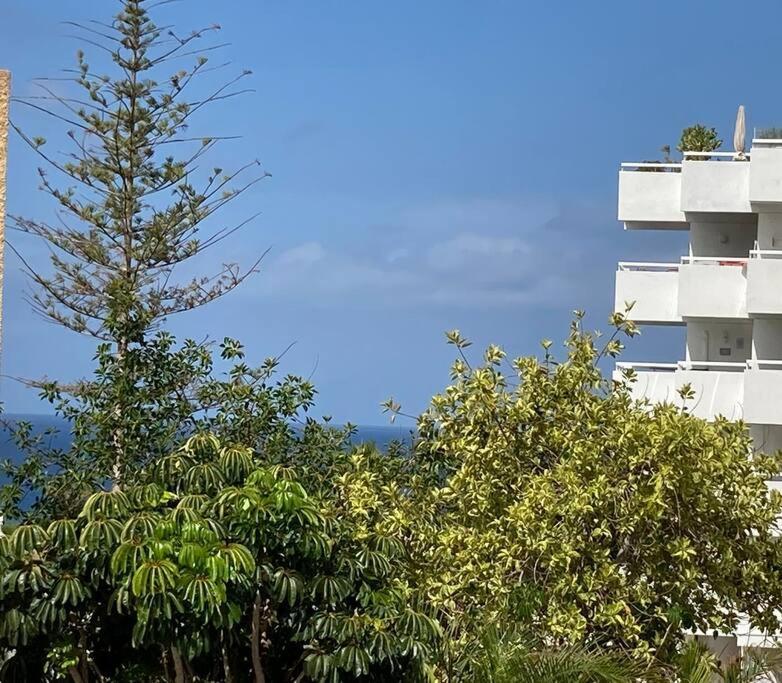Appartamento In Costa Adeje Playa De Americas Casanico *